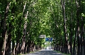Beijing333
