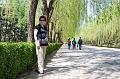 Beijing341