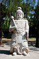 Beijing353