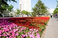 Beijing381