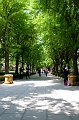 Beijing394