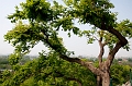 Beijing545