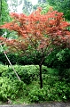 HangZhou005