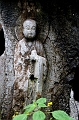 HangZhou033