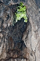 HangZhou037