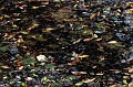 HangZhou040