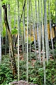 HangZhou061
