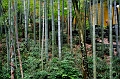 HangZhou062