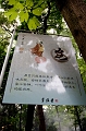 HangZhou067