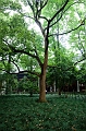 HangZhou071