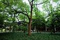 HangZhou072