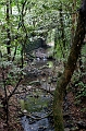 HangZhou078