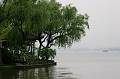 HangZhou100