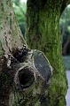 HangZhou115