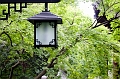 HangZhou124
