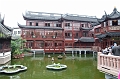 Shanghai103