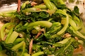 Shanghai169