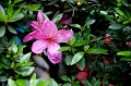 SuZhou025