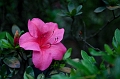 SuZhou033