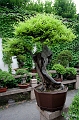 SuZhou037