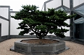 SuZhou048