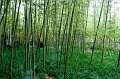 SuZhou049