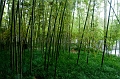 SuZhou050