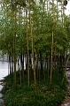 SuZhou052