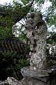 SuZhou100