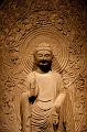 Shanghai229