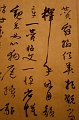 Shanghai269