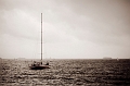 HongKong019