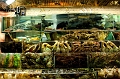 HongKong047