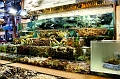 HongKong049