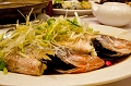 HongKong069