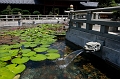 HongKong134