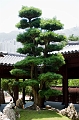 HongKong150
