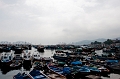 CheungChau002