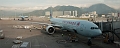 HongKong245