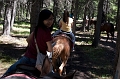 HorsebackRiding010