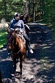 HorsebackRiding016