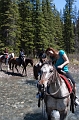 HorsebackRiding022