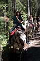 HorsebackRiding025