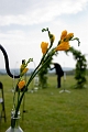 H&K_Wedding157
