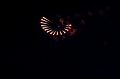 GlobalFest020