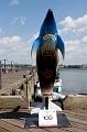 Halifax020