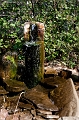 CapeJourimain001