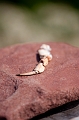 CapeJourimain032