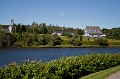 PEI017