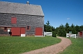 PEI035